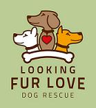 Looking Fur Love Dog Rescue Logo